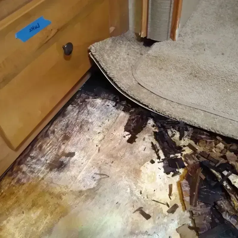 Best Wood Floor Water Damage Service in Tombstone, AZ